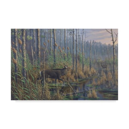 Trademark Fine Art Wilhelm Goebel 'Maryland Sika Deer' Canvas Art, 30x47 ALI33851-C3047GG